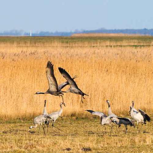 Doppelzimmer mit Balkon